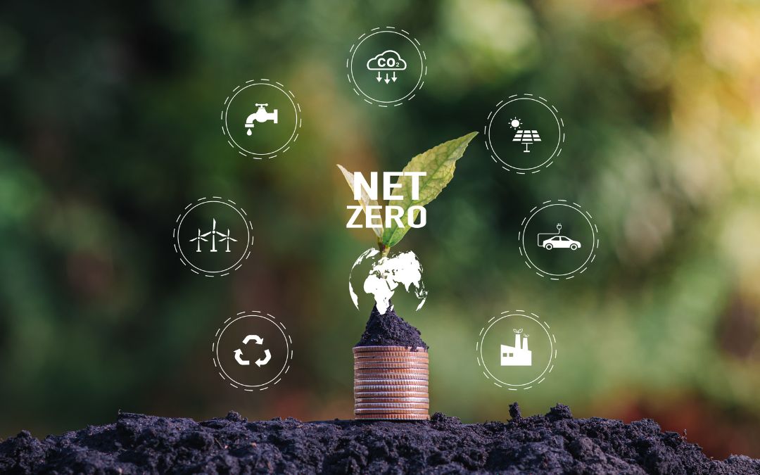 reduce-the-carbon-footprint-6